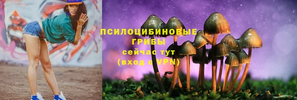 прущая мука Беломорск