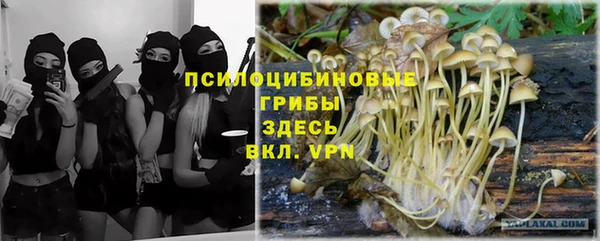прущая мука Беломорск